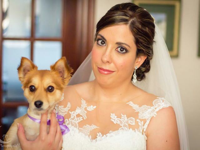 La boda de Pedro Juan y Nuria Maria  en Sevilla, Sevilla 1