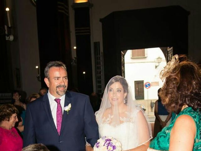 La boda de Pedro Juan y Nuria Maria  en Sevilla, Sevilla 4