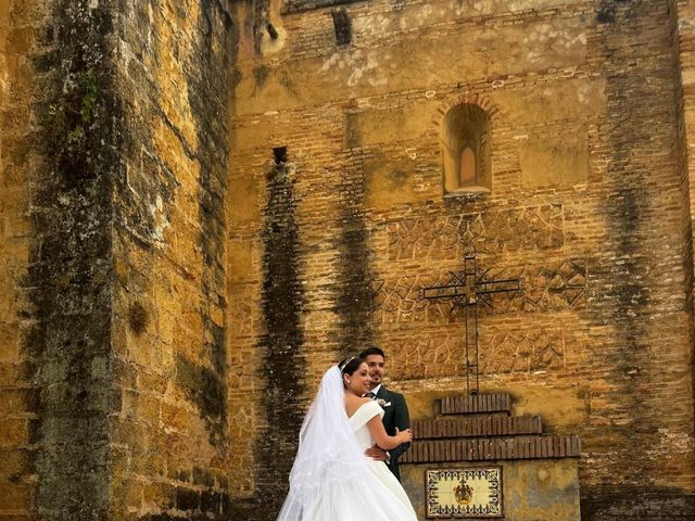 La boda de Fran y Cristina  en Alcala De Guadaira, Sevilla 1