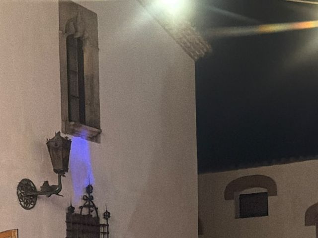 La boda de Javi y Mónica en L' Ametlla Del Valles, Barcelona 14