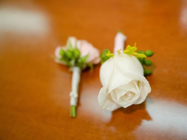 La boda de Abilio y María en Autillo De Campos, Palencia 7