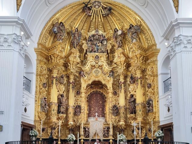 La boda de Abraham  y María  en El Rocio, Huelva 1