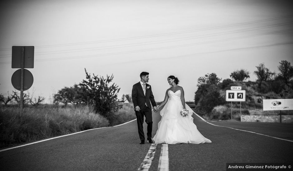 La boda de Sergio y Raquel en Les Borges Blanques, Lleida