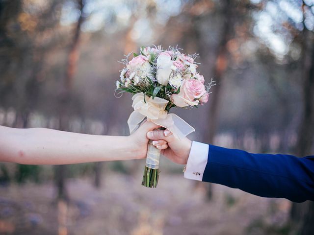 La boda de Jose y Auxi en Pedrera, Sevilla 50