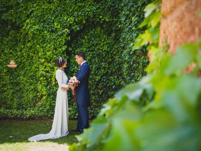 La boda de Álvaro y Paula en Segovia, Segovia 263