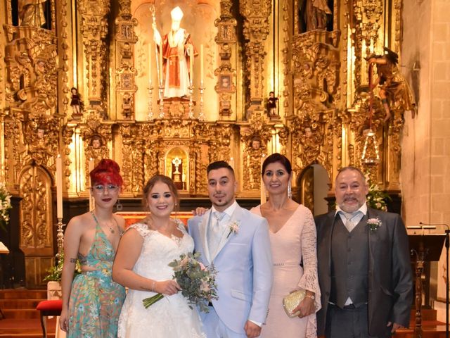La boda de Sergio y Cristina  en Jerez De La Frontera, Cádiz 13