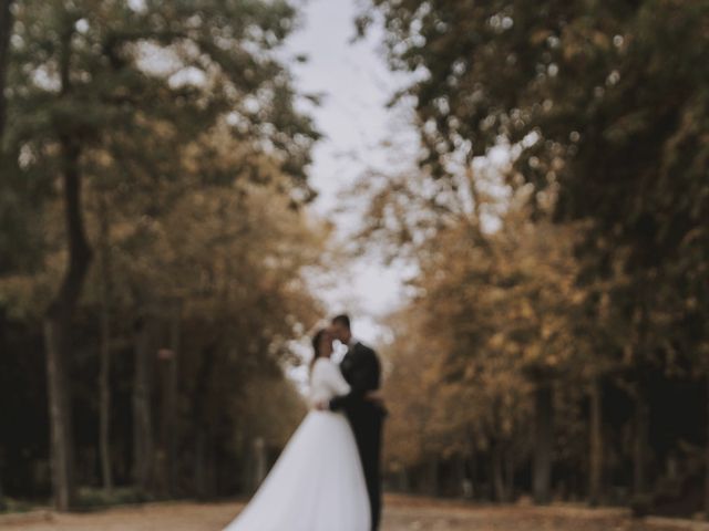 La boda de Diego y Cristina en Sotopalacios, Burgos 16