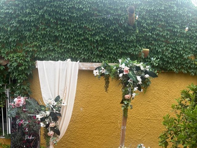 La boda de Pedro y Cristina en Alfafar, Valencia 10