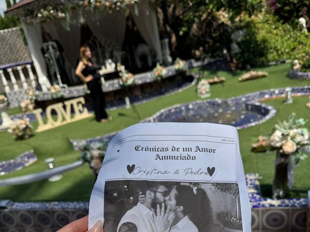 La boda de Pedro y Cristina en Alfafar, Valencia 14