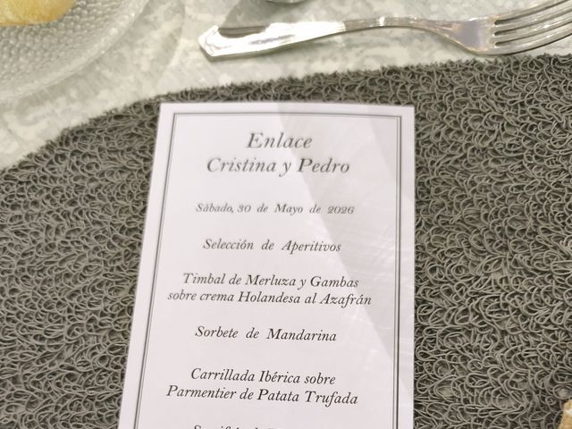 La boda de Pedro y Cristina en Alfafar, Valencia 20