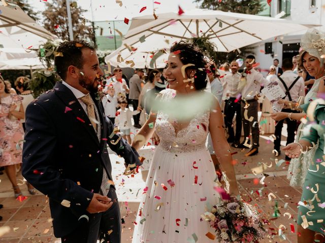 La boda de Brigido y Alicia en Andujar, Jaén 49