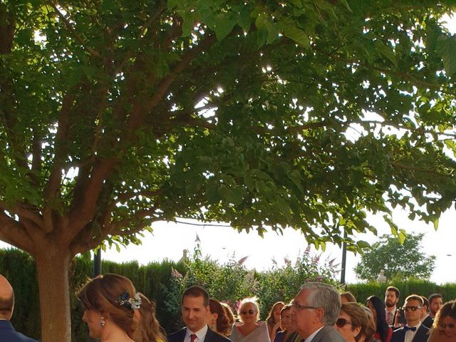 La boda de Carlos y Rosa en Albacete, Albacete 8