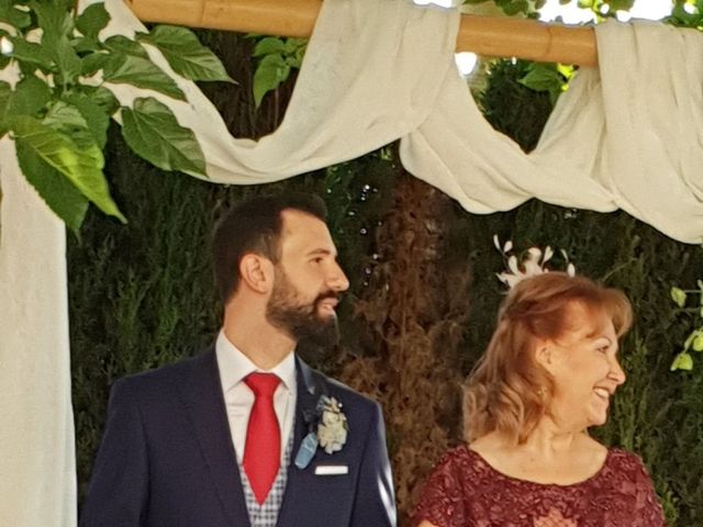 La boda de Carlos y Rosa en Albacete, Albacete 10