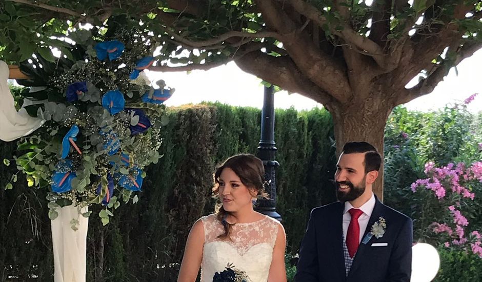 La boda de Carlos y Rosa en Albacete, Albacete