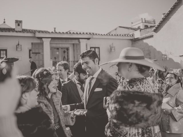 La boda de Enrique y Marina en Villanueva Del Ariscal, Sevilla 11
