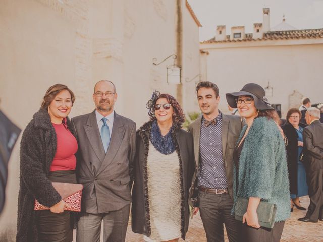 La boda de Enrique y Marina en Villanueva Del Ariscal, Sevilla 15