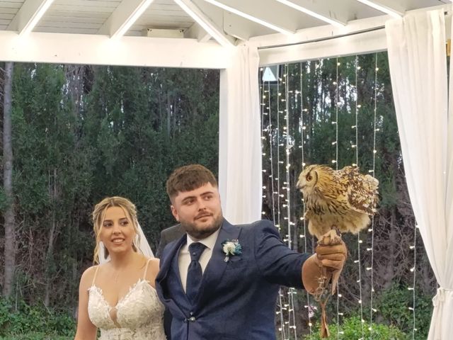 La boda de Sergio y Carla en Sagunt/sagunto, Valencia 7