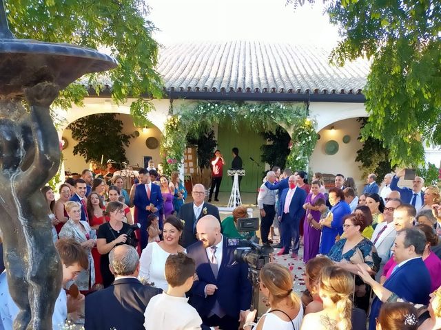 La boda de Fernando y Patricia en Jerez De La Frontera, Cádiz 4