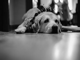 La boda de Pina y Pablo 2