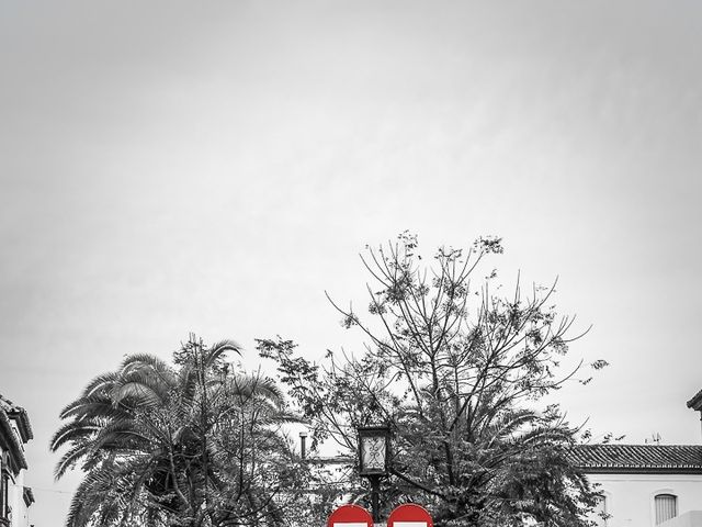 La boda de Teo y Raquel en Fuentes De Andalucia, Sevilla 21