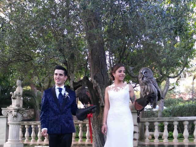 La boda de Saül  y Alba  en Santpedor, Barcelona 6