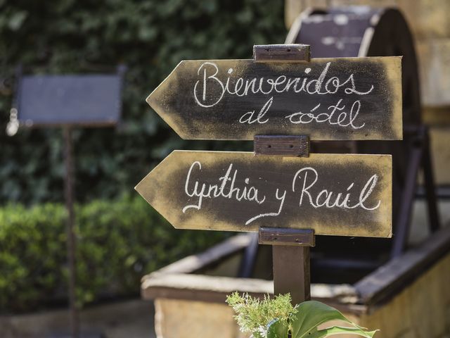 La boda de Raúl y Cynthia en Talamanca Del Jarama, Madrid 17