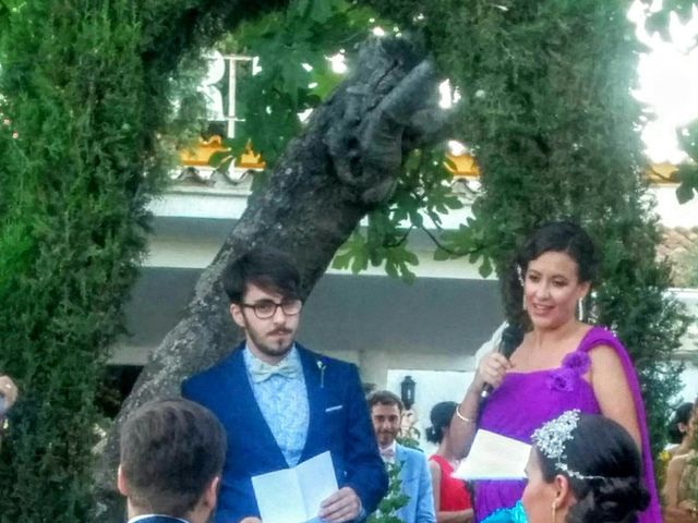 La boda de Marcos y MªAngeles en La Carolina, Jaén 8