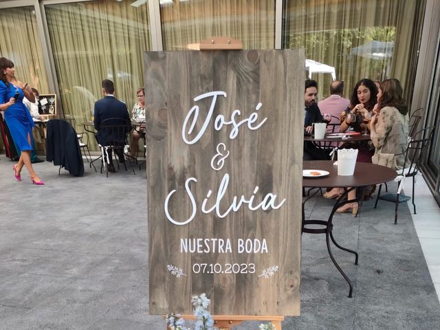 La boda de Jose y Silvia en Oviedo, Asturias 5