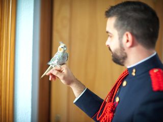 La boda de Alberto y Rocio 1