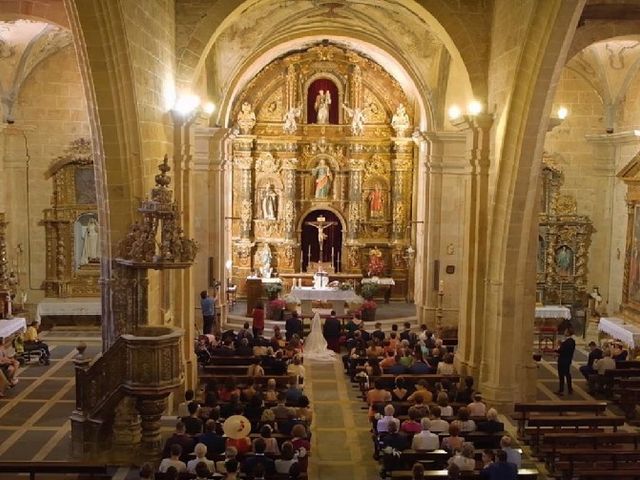 La boda de Daniel y Marian en Cantalpino, Salamanca 2