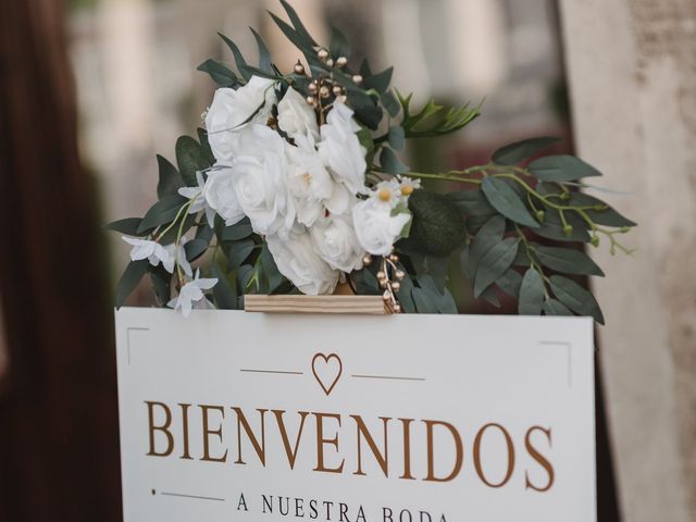 La boda de Alicia y Adrián en Valencia, Valencia 11