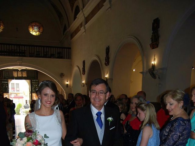 La boda de Manuel y Paloma en Linares, Jaén 9