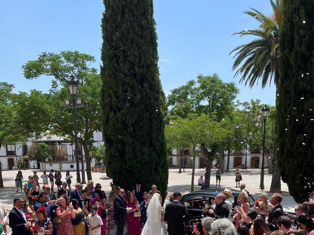 La boda de Julio y Imogen Alexandra  en Ubeda, Jaén 6