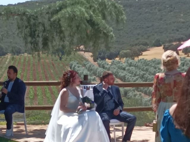 La boda de Carlos  y Yolanda  en Ciudad Real, Ciudad Real 5