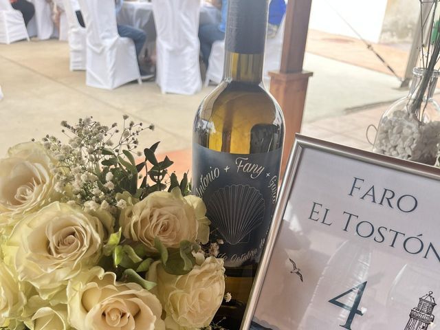 La boda de Antonio y Estefanía en Antigua, Las Palmas 12