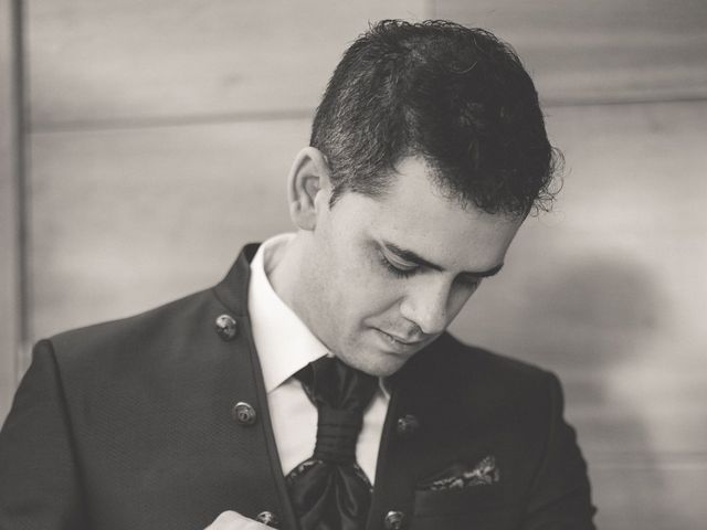 La boda de Inés y Jose Luis en Cáceres, Cáceres 11