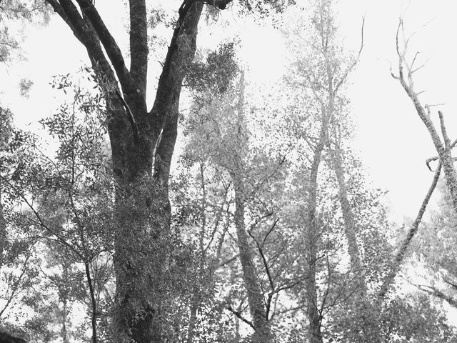 La boda de Inés y Jose Luis en Cáceres, Cáceres 30