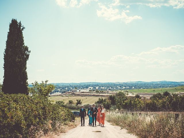 La boda de José y Rosalía en El Puente Del Arzobispo, Toledo 25