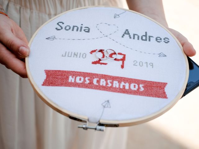 La boda de Andrés Fuentes y Sonia Diez en Valbuena De Duero, Valladolid 11