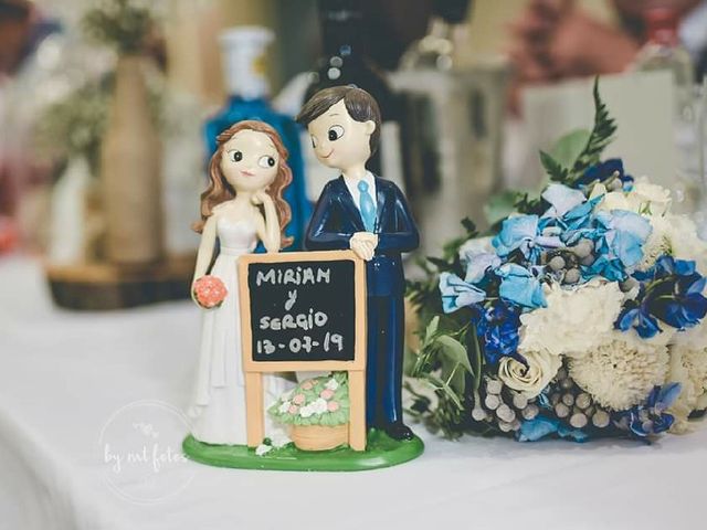 La boda de Sergio y Miriam en Campo De Criptana, Ciudad Real 7