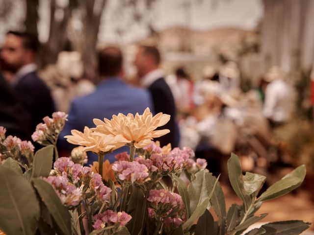 La boda de Isaac y Patricia en Villaharta, Córdoba 222