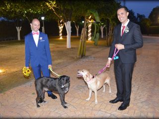 La boda de Ismael y Antonio