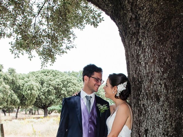 La boda de Carlos y Ana en Collado Villalba, Madrid 15