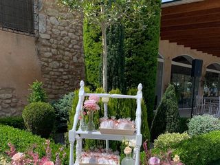 La boda de Ilona y Joaquín  3