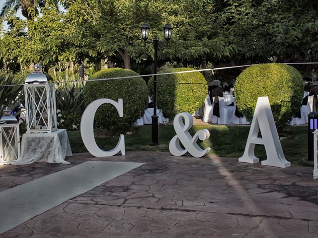 La boda de Alejandro y Carmen en Rioja, Almería 33