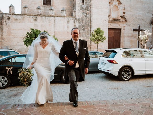La boda de Almudena y Enrique en Carmona, Sevilla 29