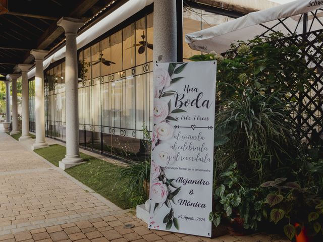La boda de Alex y Mónica en Illescas, Toledo 25