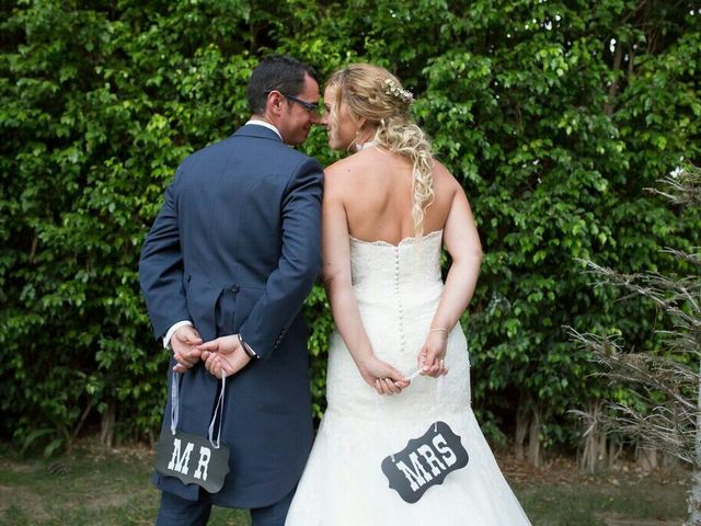 La boda de Críspulo y Alejandra en Torremolinos, Málaga 1