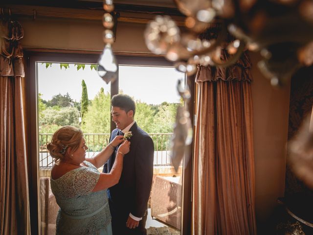 La boda de Patricia y Pablo en Toledo, Toledo 17