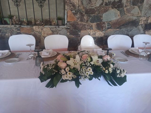 La boda de Abraham y Saray en Las Palmas De Gran Canaria, Las Palmas 14